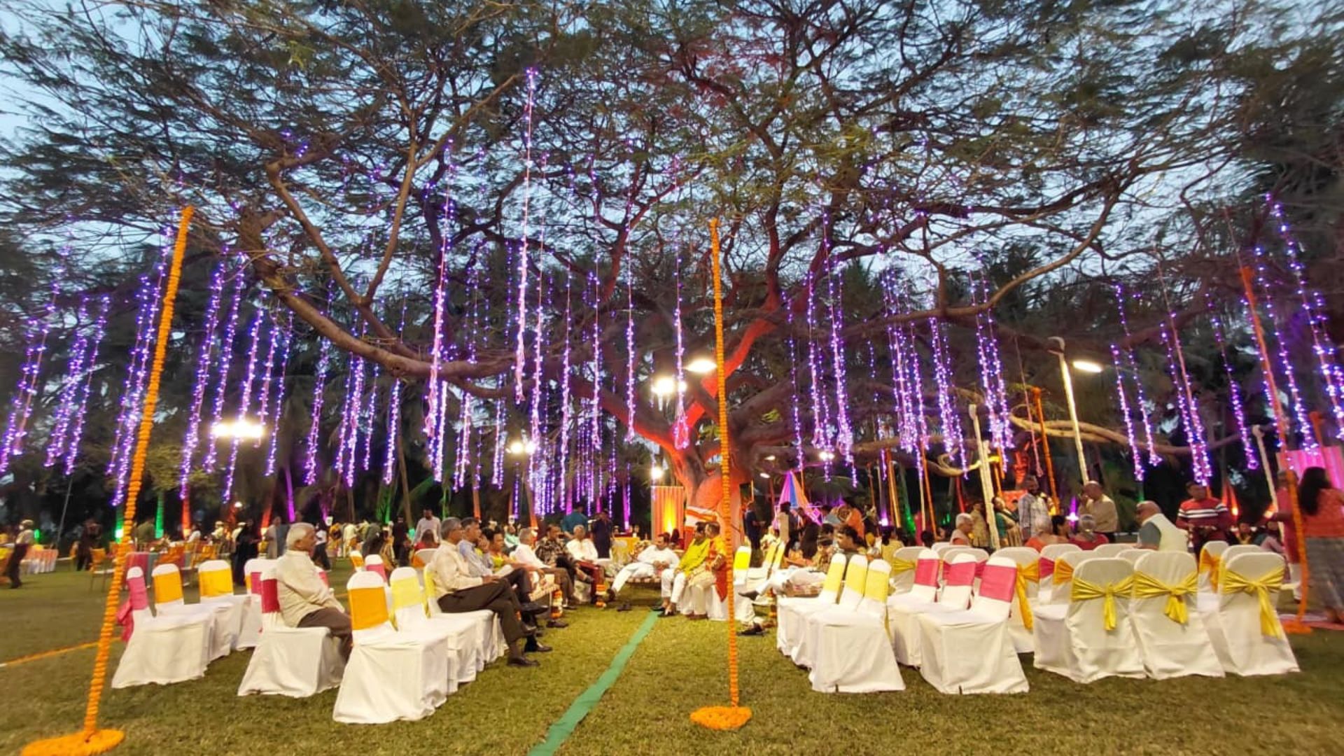 JASODA FARM